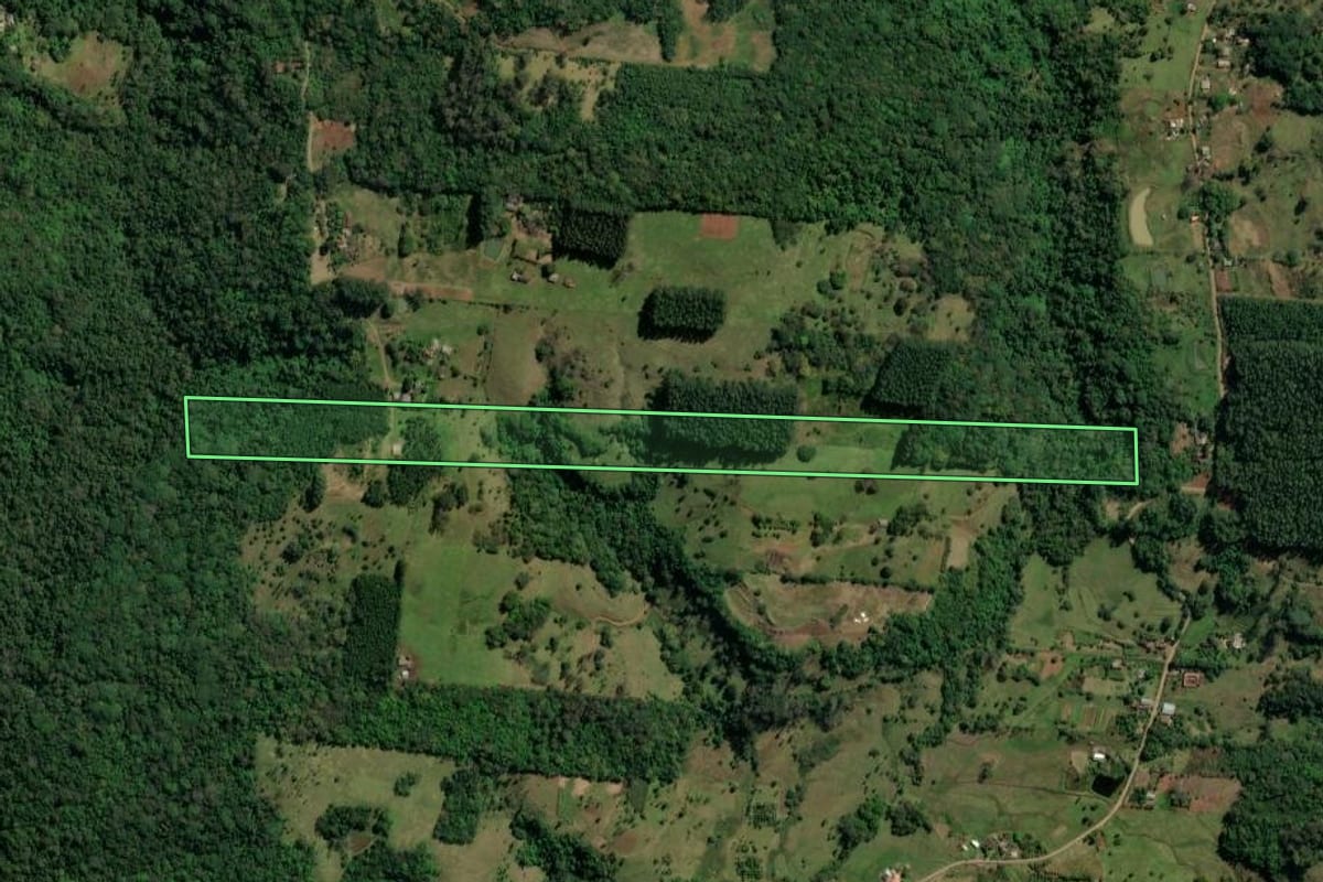 Imagem de satélite do imóvel rural em Taquara (RS), com o contorno declarado no CAR desenhado por cima.