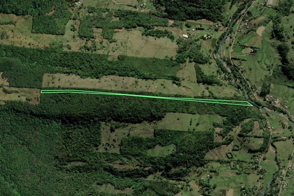 Imagem de satélite do imóvel rural em Taquara (RS), com o contorno declarado no CAR desenhado por cima.