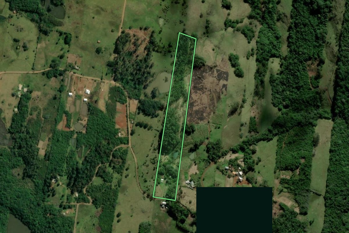 Imagem de satélite do imóvel rural em Taquara (RS), com o contorno declarado no CAR desenhado por cima.