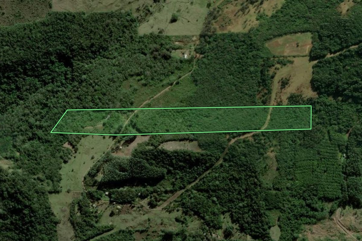 Imagem de satélite do imóvel rural em Taquara (RS), com o contorno declarado no CAR desenhado por cima.