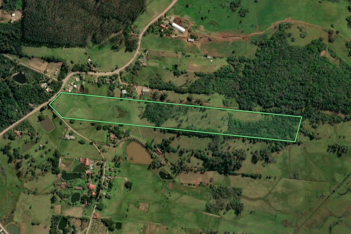 Imagem de satélite do imóvel rural em Taquara (RS), com o contorno declarado no CAR desenhado por cima.