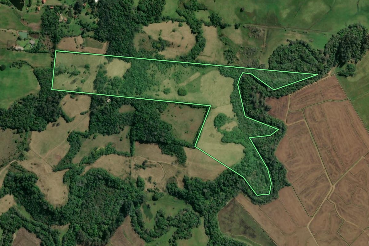 Imagem de satélite do imóvel rural em Taquara (RS), com o contorno declarado no CAR desenhado por cima.