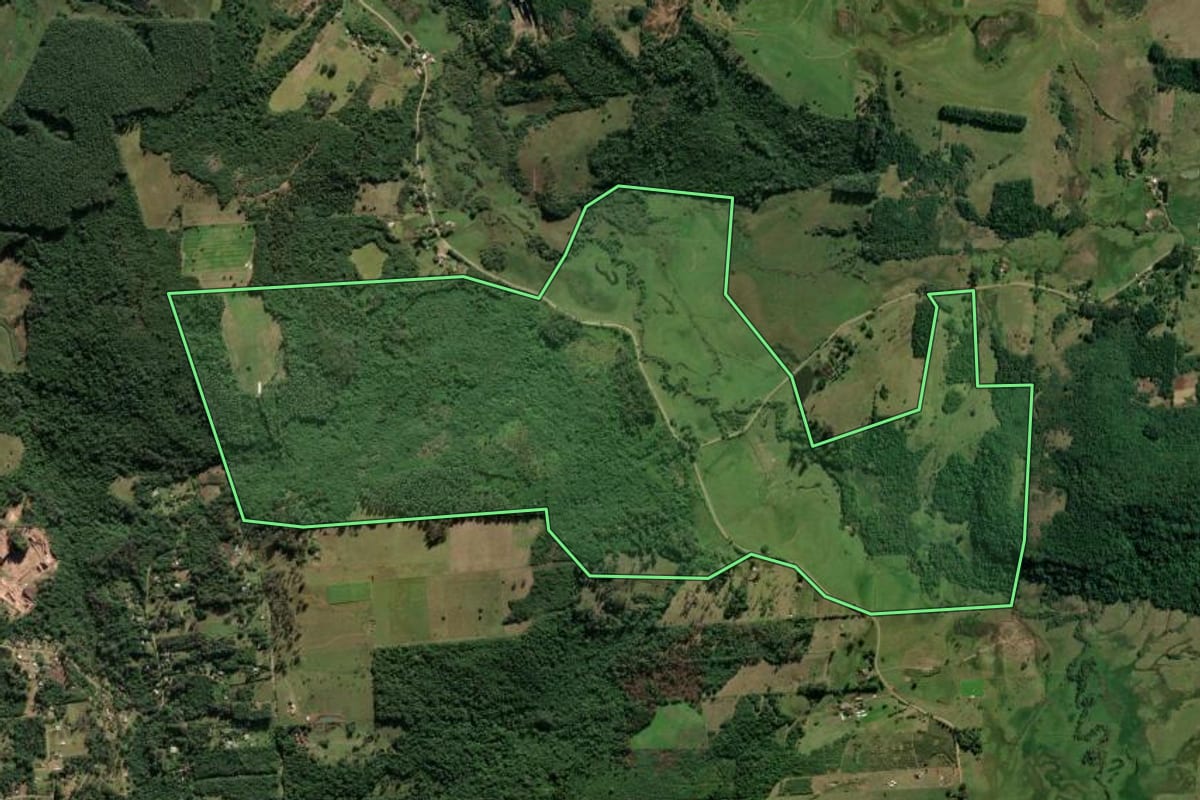 Imagem de satélite do imóvel rural em Taquara (RS), com o contorno declarado no CAR desenhado por cima.