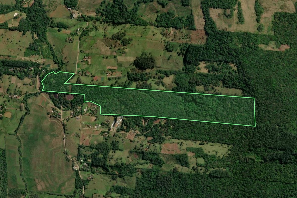 Imagem de satélite do imóvel rural em Taquara (RS), com o contorno declarado no CAR desenhado por cima.