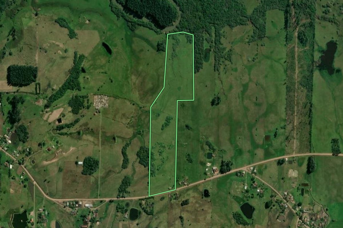 Imagem de satélite do imóvel rural em Taquara (RS), com o contorno declarado no CAR desenhado por cima.