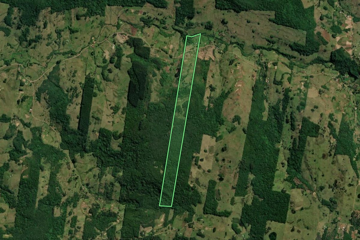 Imagem de satélite do imóvel rural em Taquara (RS), com o contorno declarado no CAR desenhado por cima.