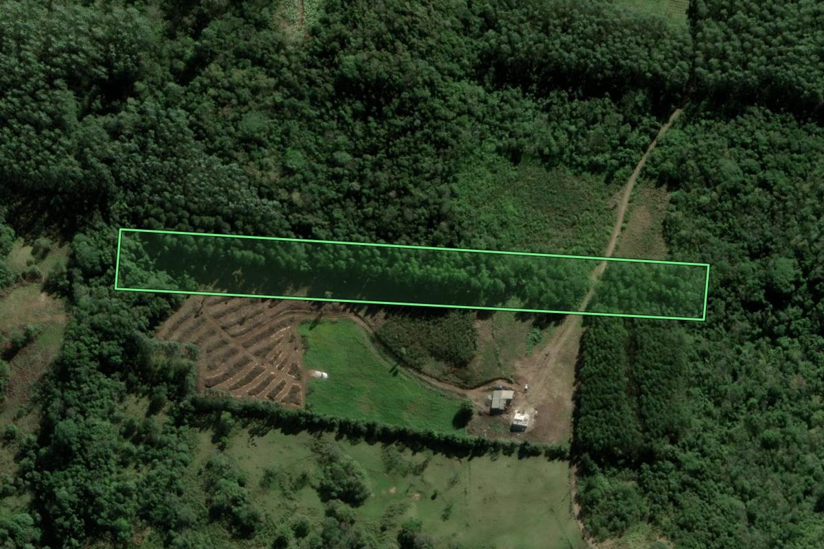 Imagem de satélite do imóvel rural em Taquara (RS), com o contorno declarado no CAR desenhado por cima.