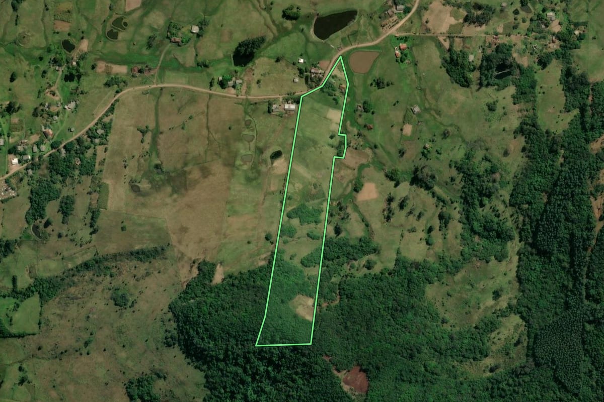 Imagem de satélite do imóvel rural em Taquara (RS), com o contorno declarado no CAR desenhado por cima.