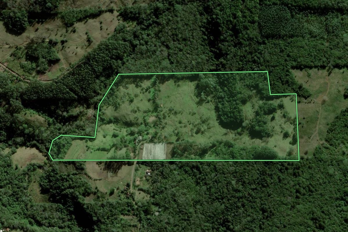 Imagem de satélite do imóvel rural em Taquara (RS), com o contorno declarado no CAR desenhado por cima.