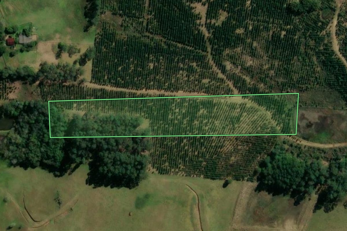 Imagem de satélite do imóvel rural em Taquara (RS), com o contorno declarado no CAR desenhado por cima.
