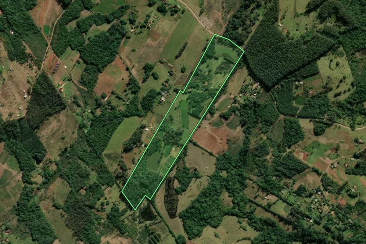 Imagem de satélite do imóvel rural em Taquara (RS), com o contorno declarado no CAR desenhado por cima.