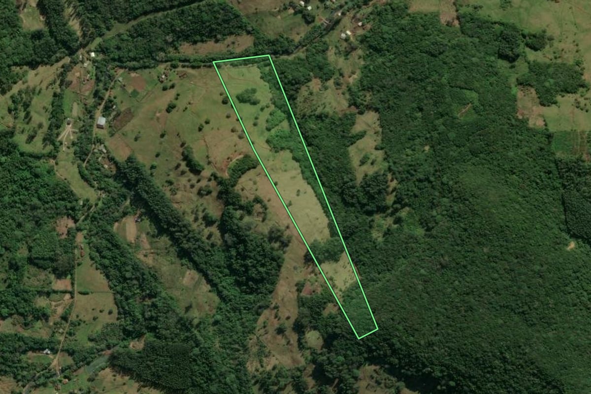 Imagem de satélite do imóvel rural em Taquara (RS), com o contorno declarado no CAR desenhado por cima.