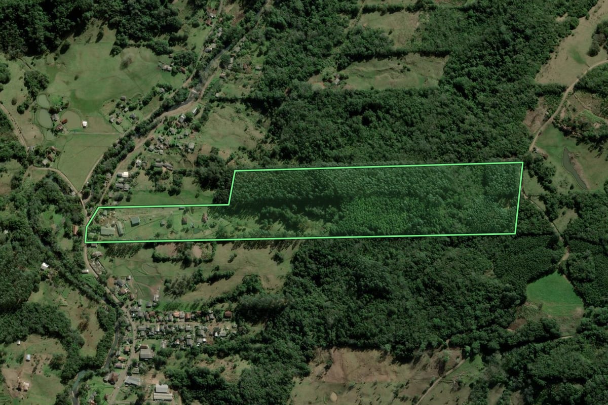 Imagem de satélite do imóvel rural em Taquara (RS), com o contorno declarado no CAR desenhado por cima.