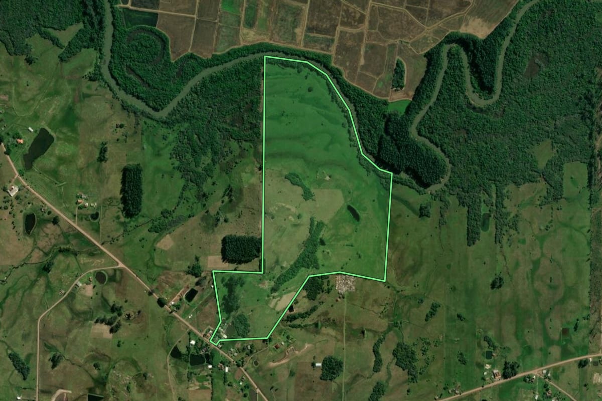Imagem de satélite do imóvel rural em Taquara (RS), com o contorno declarado no CAR desenhado por cima.