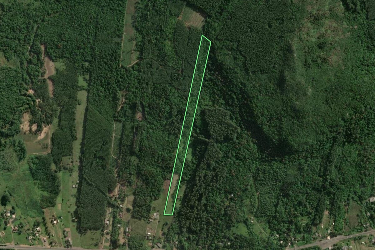 Imagem de satélite do imóvel rural em Taquari (RS), com o contorno declarado no CAR desenhado por cima.