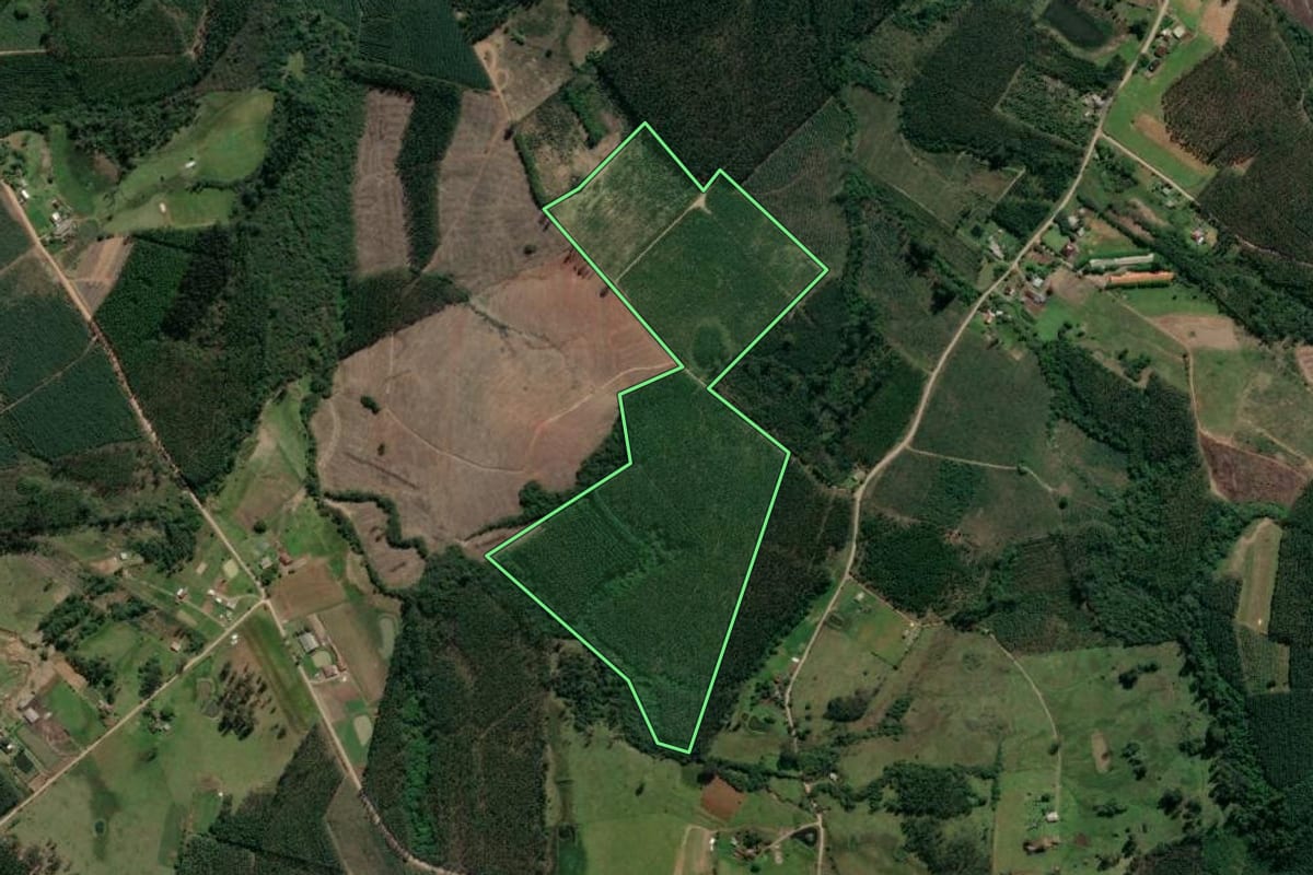 Imagem de satélite do imóvel rural em Taquari (RS), com o contorno declarado no CAR desenhado por cima.