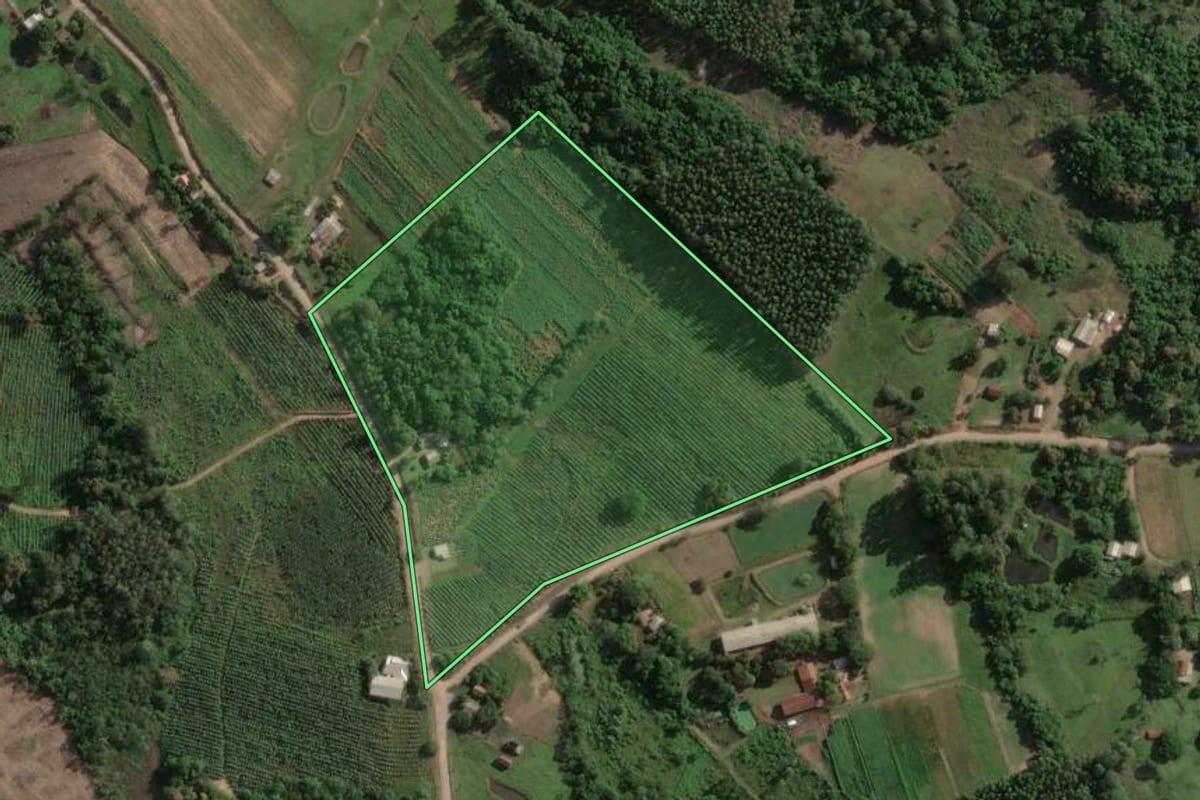 Imagem de satélite do imóvel rural em Taquari (RS), com o contorno declarado no CAR desenhado por cima.