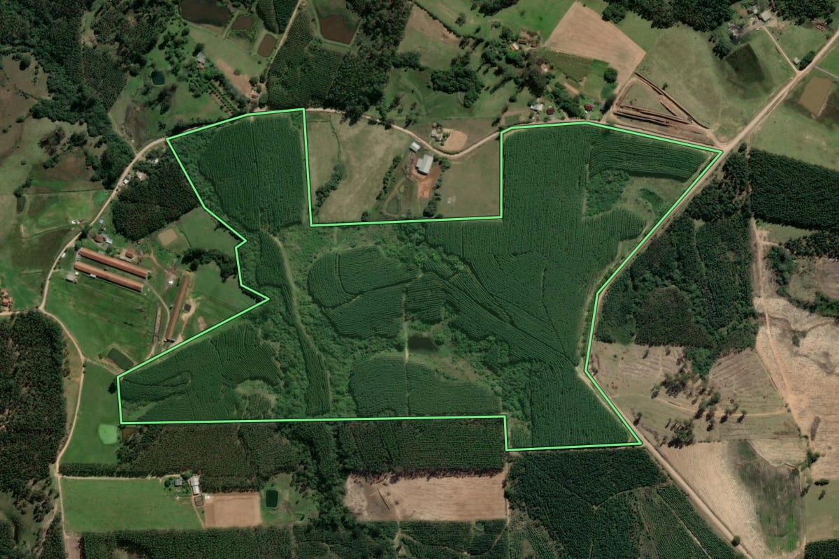 Imagem de satélite do imóvel rural em Taquari (RS), com o contorno declarado no CAR desenhado por cima.
