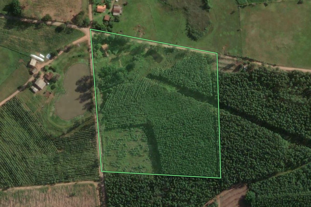 Imagem de satélite do imóvel rural em Taquari (RS), com o contorno declarado no CAR desenhado por cima.