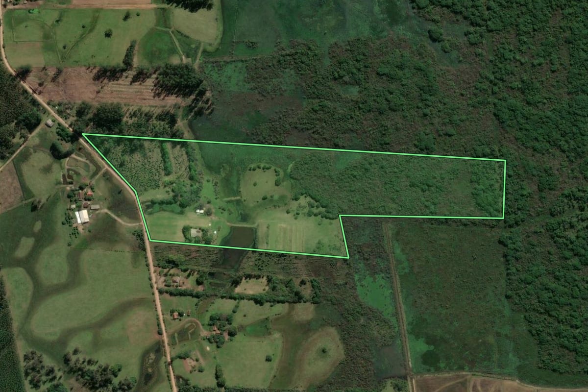 Imagem de satélite do imóvel rural em Taquari (RS), com o contorno declarado no CAR desenhado por cima.