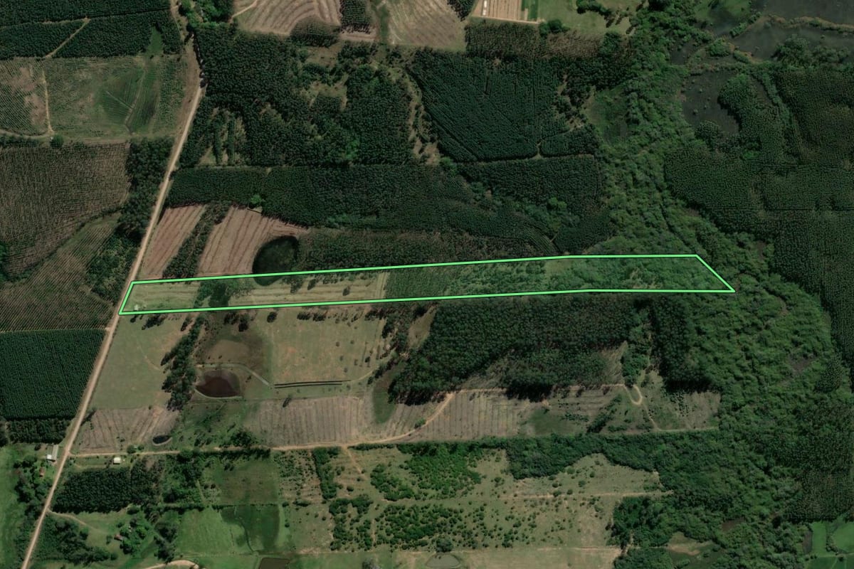 Imagem de satélite do imóvel rural em Taquari (RS), com o contorno declarado no CAR desenhado por cima.