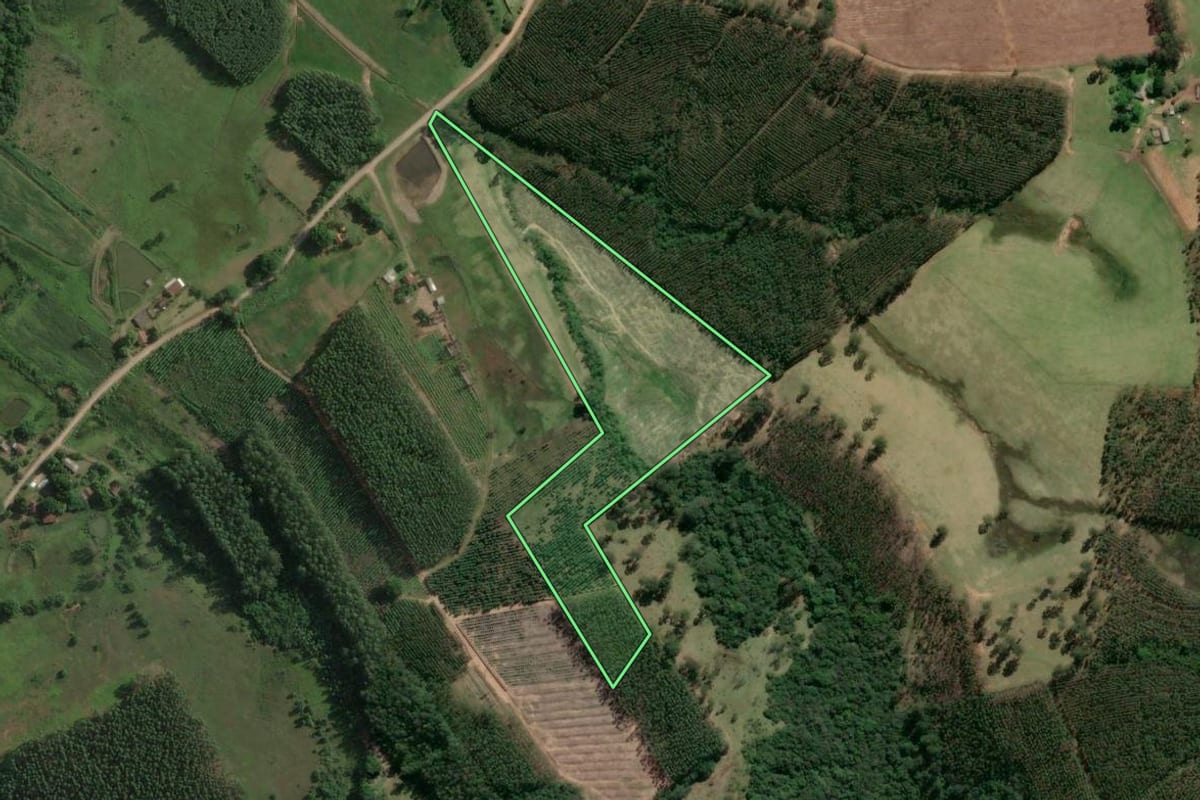 Imagem de satélite do imóvel rural em Taquari (RS), com o contorno declarado no CAR desenhado por cima.