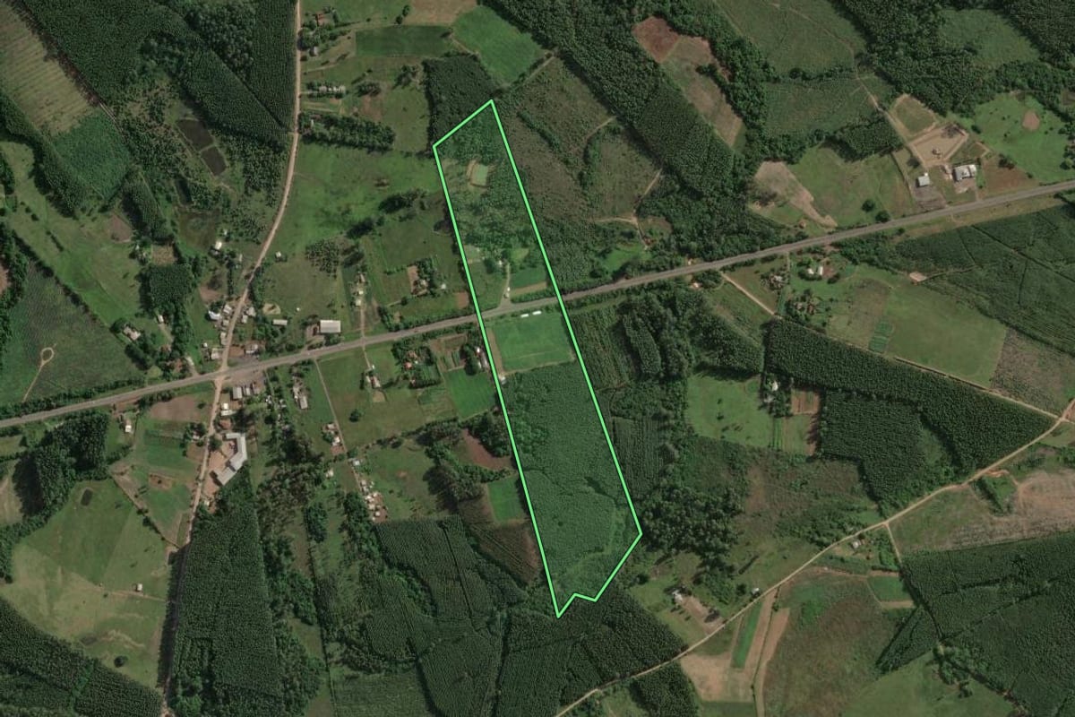 Imagem de satélite do imóvel rural em Taquari (RS), com o contorno declarado no CAR desenhado por cima.