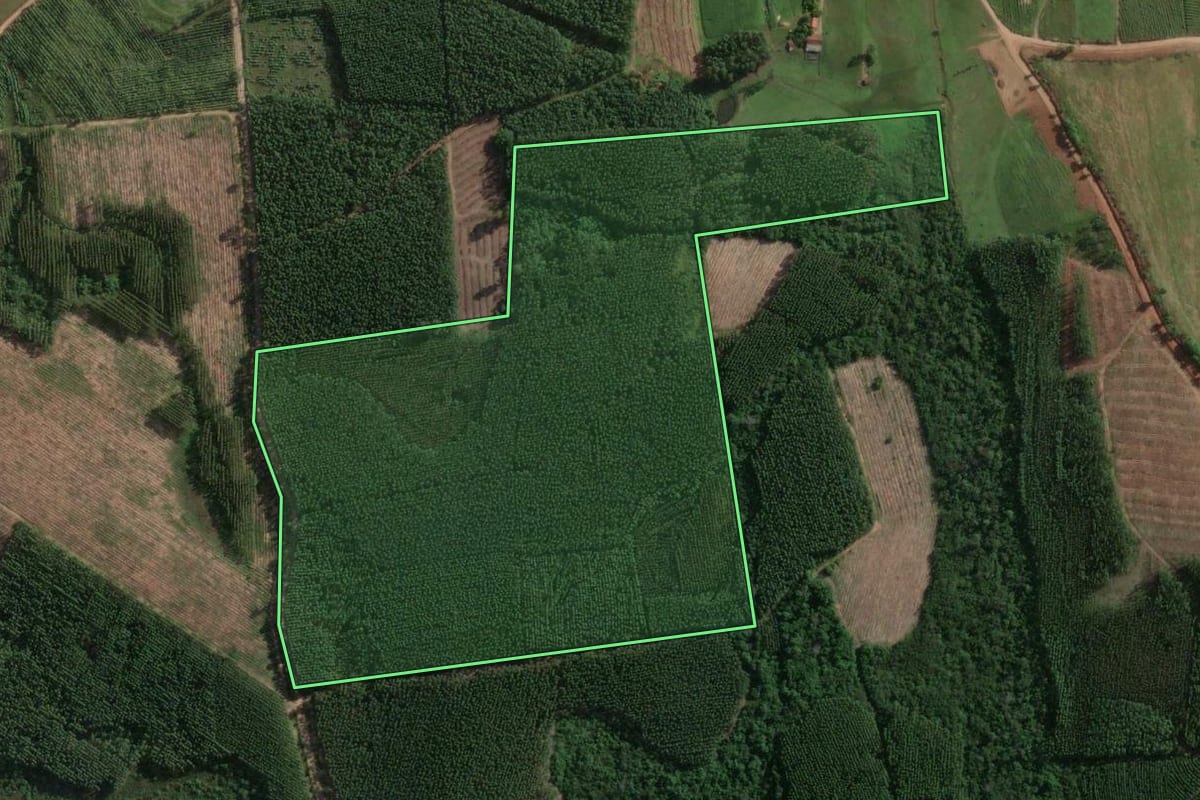 Imagem de satélite do imóvel rural em Taquari (RS), com o contorno declarado no CAR desenhado por cima.