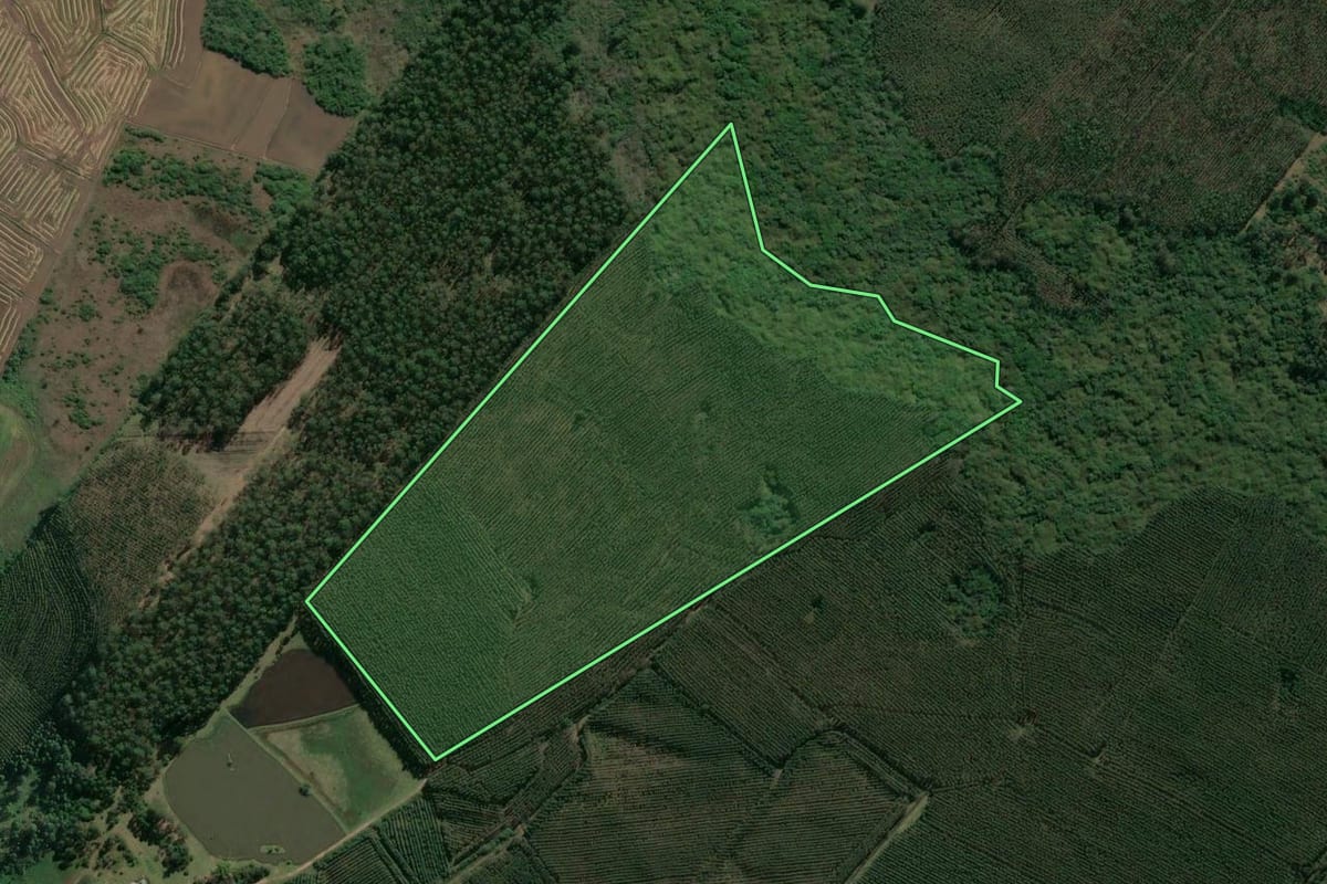 Imagem de satélite do imóvel rural em Taquari (RS), com o contorno declarado no CAR desenhado por cima.