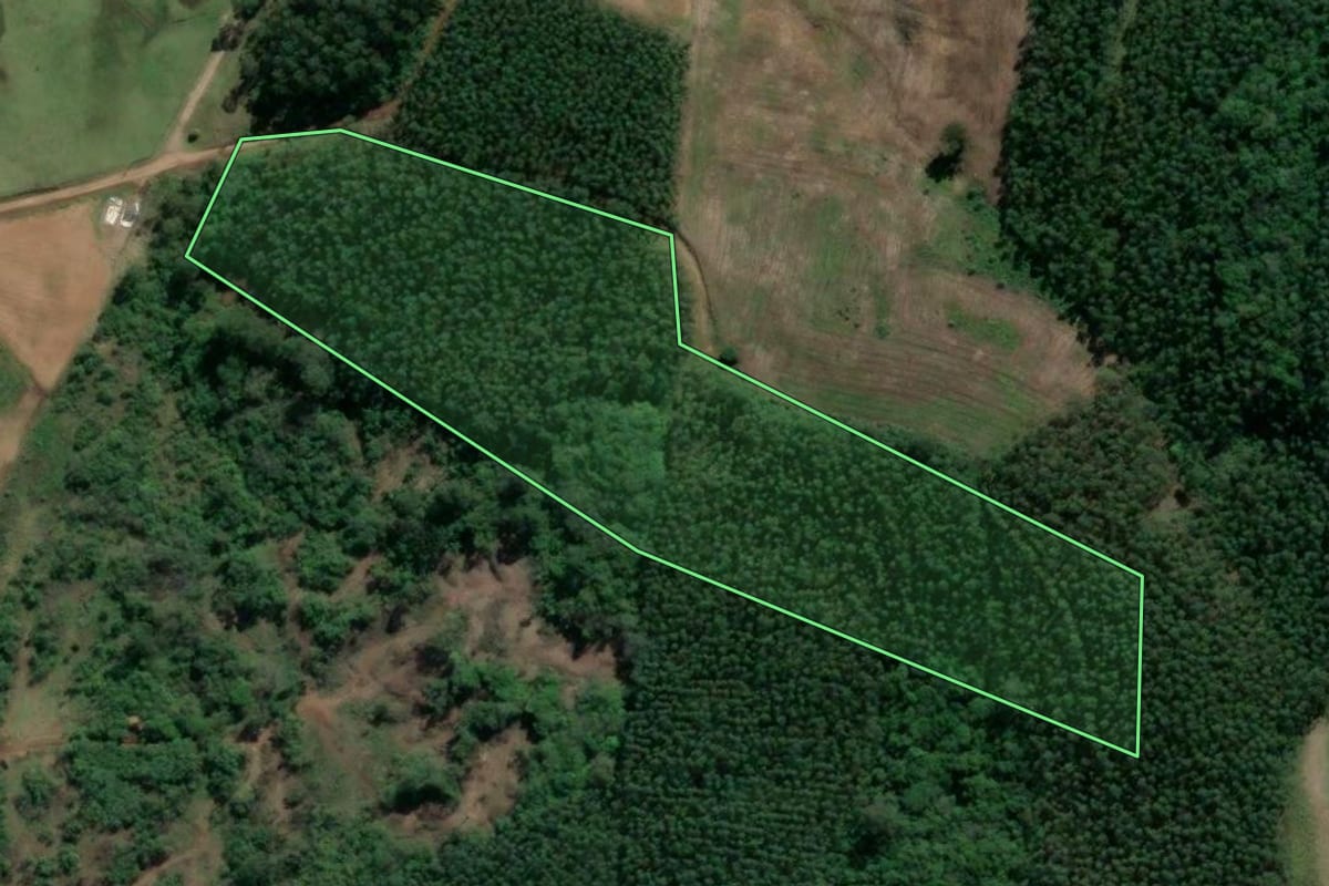 Imagem de satélite do imóvel rural em Taquari (RS), com o contorno declarado no CAR desenhado por cima.