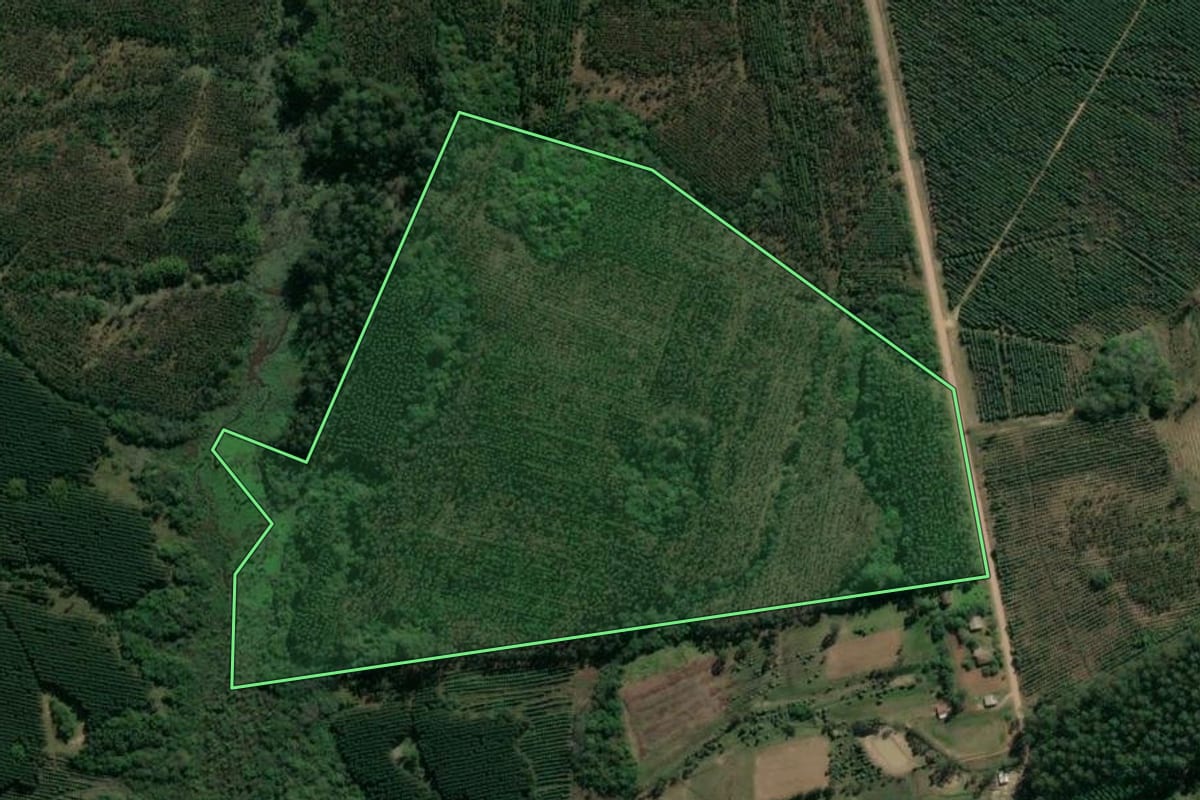 Imagem de satélite do imóvel rural em Taquari (RS), com o contorno declarado no CAR desenhado por cima.
