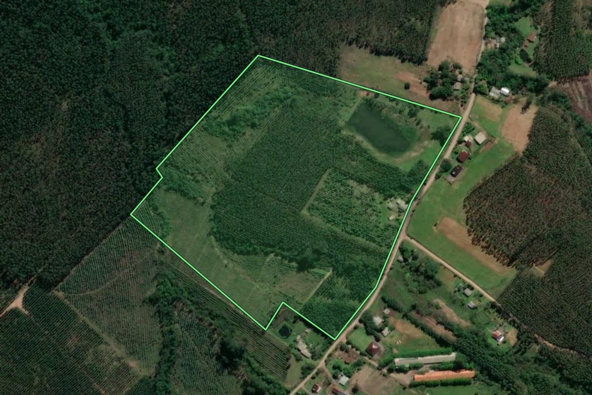 Imagem de satélite do imóvel rural em Taquari (RS), com o contorno declarado no CAR desenhado por cima.