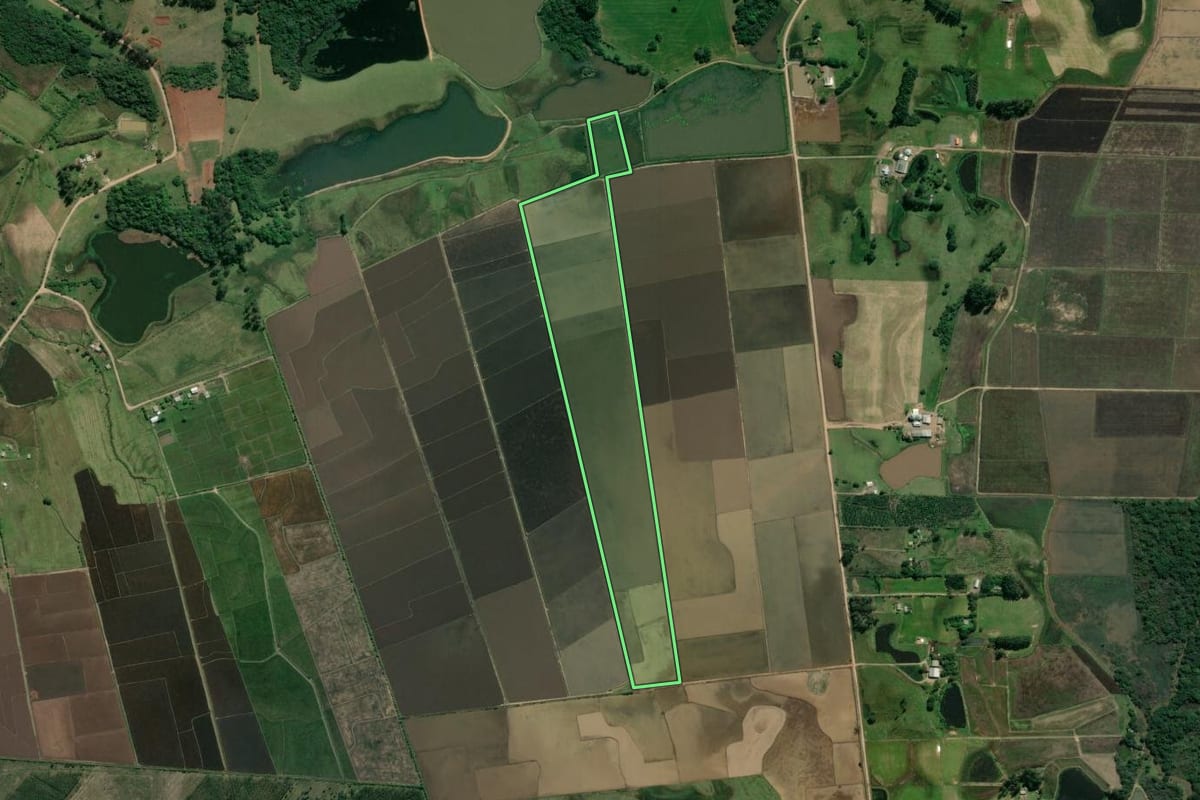 Imagem de satélite do imóvel rural em Taquari (RS), com o contorno declarado no CAR desenhado por cima.