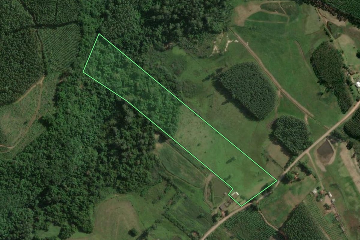 Imagem de satélite do imóvel rural em Taquari (RS), com o contorno declarado no CAR desenhado por cima.