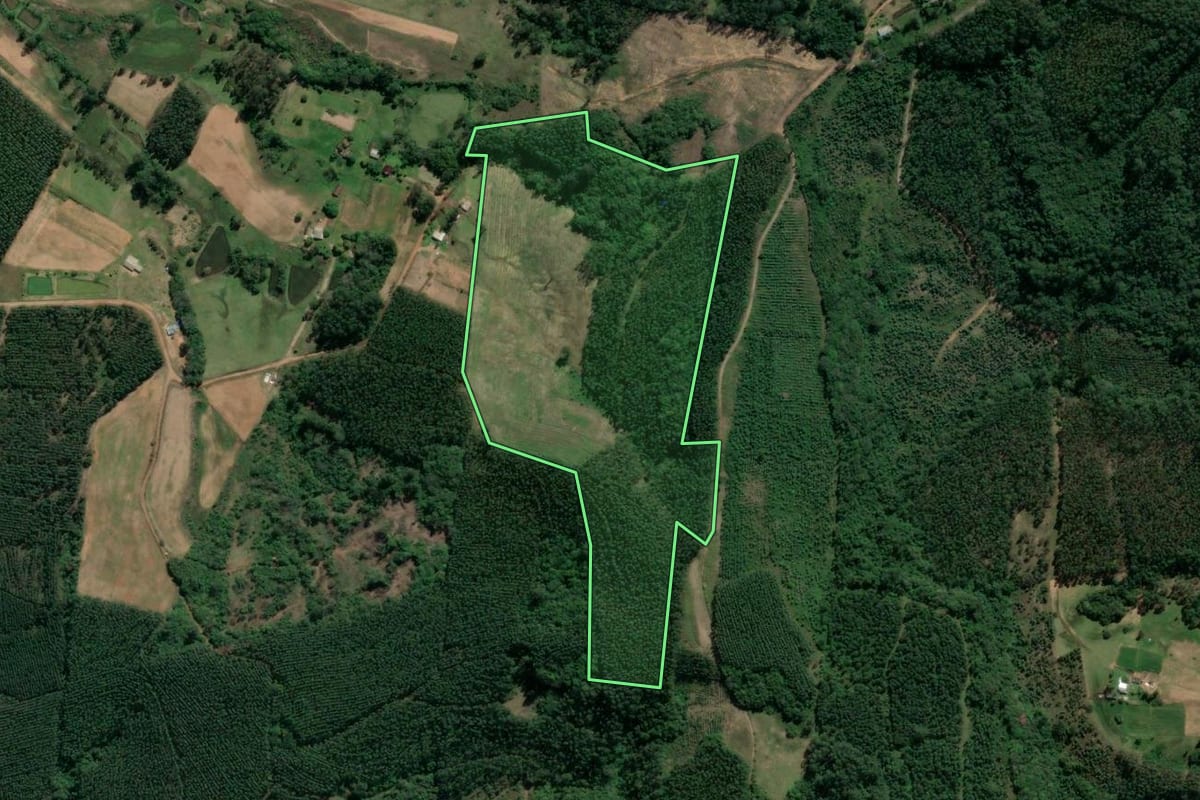 Imagem de satélite do imóvel rural em Taquari (RS), com o contorno declarado no CAR desenhado por cima.