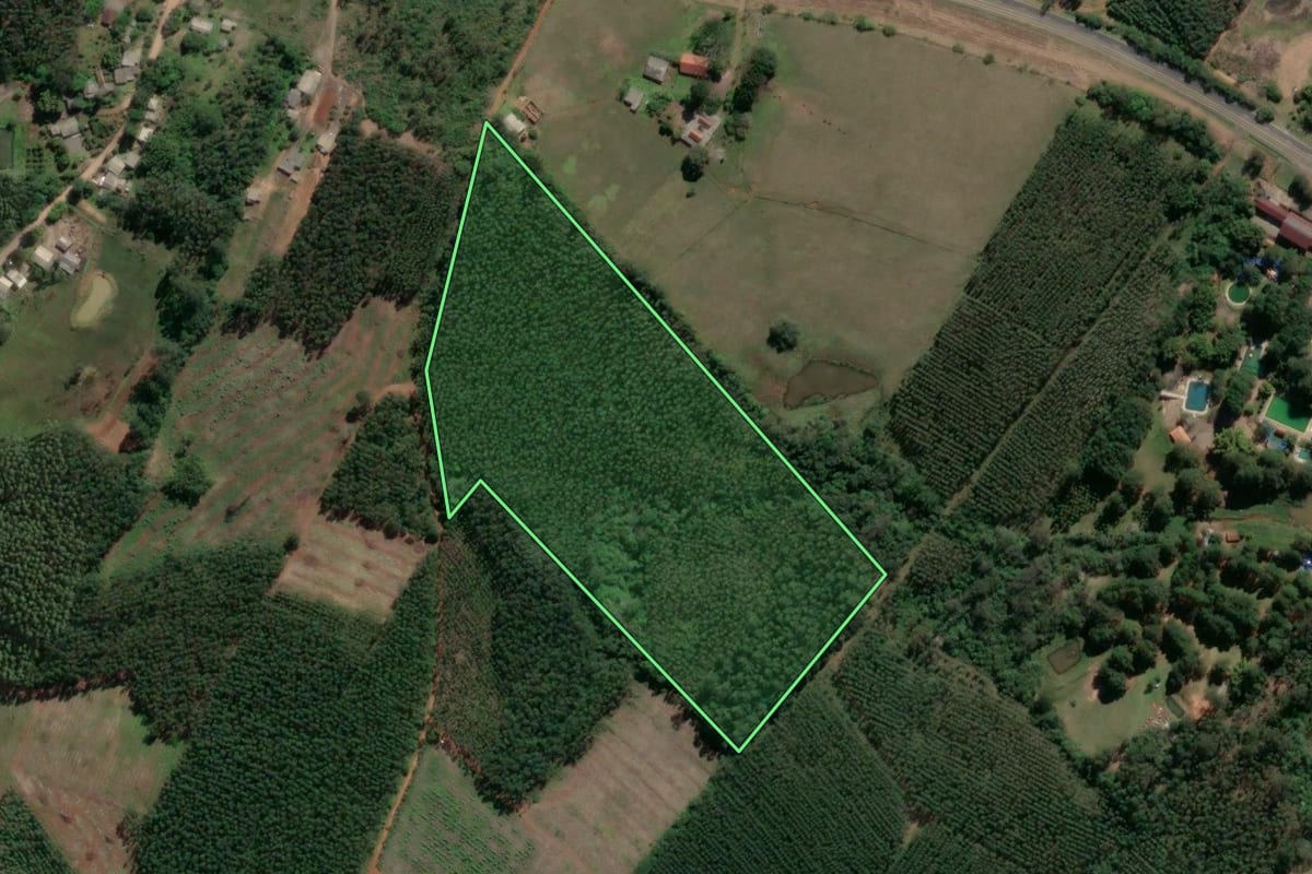 Imagem de satélite do imóvel rural em Taquari (RS), com o contorno declarado no CAR desenhado por cima.