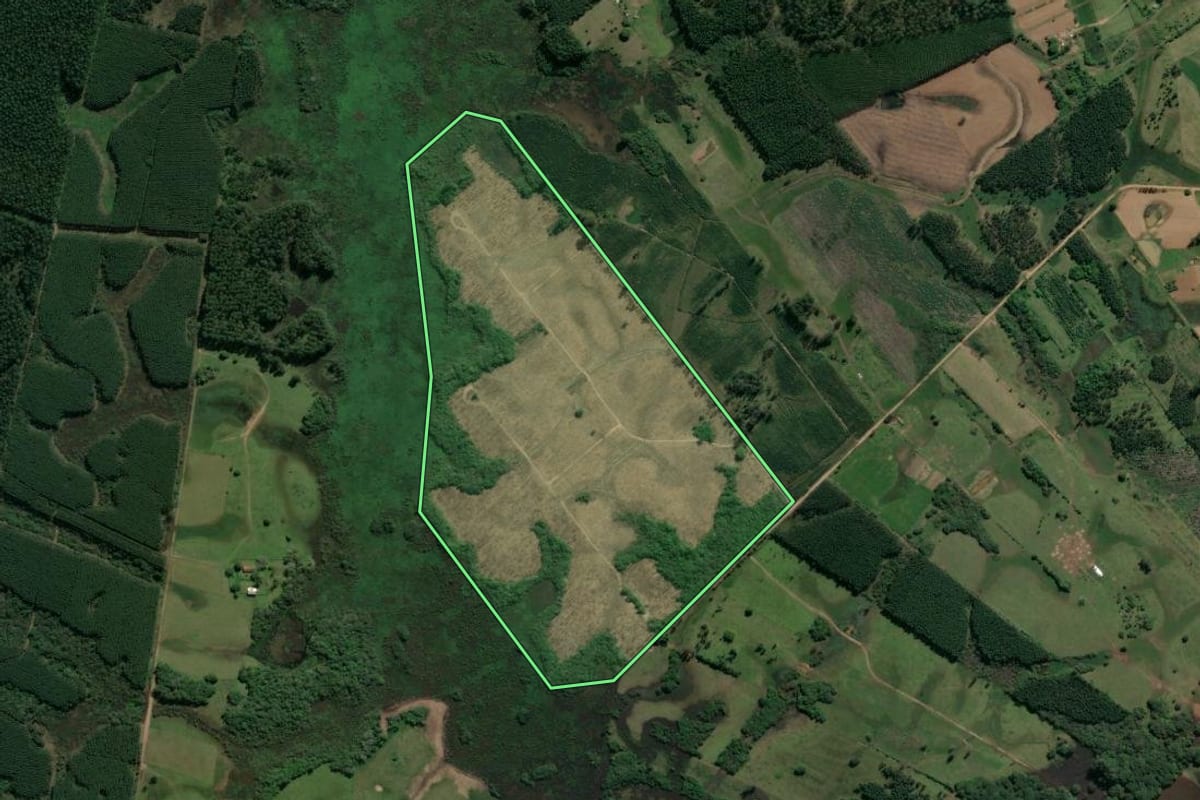 Imagem de satélite do imóvel rural em Taquari (RS), com o contorno declarado no CAR desenhado por cima.