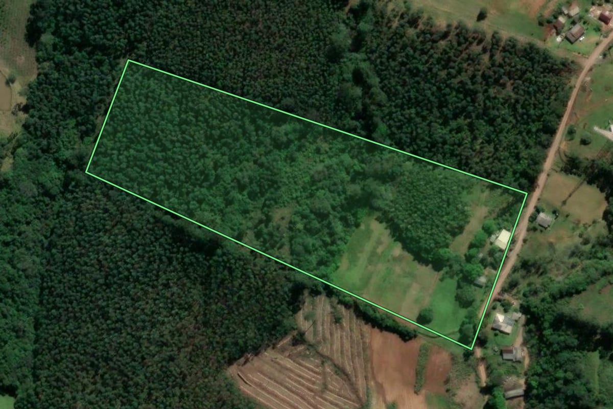 Imagem de satélite do imóvel rural em Taquari (RS), com o contorno declarado no CAR desenhado por cima.