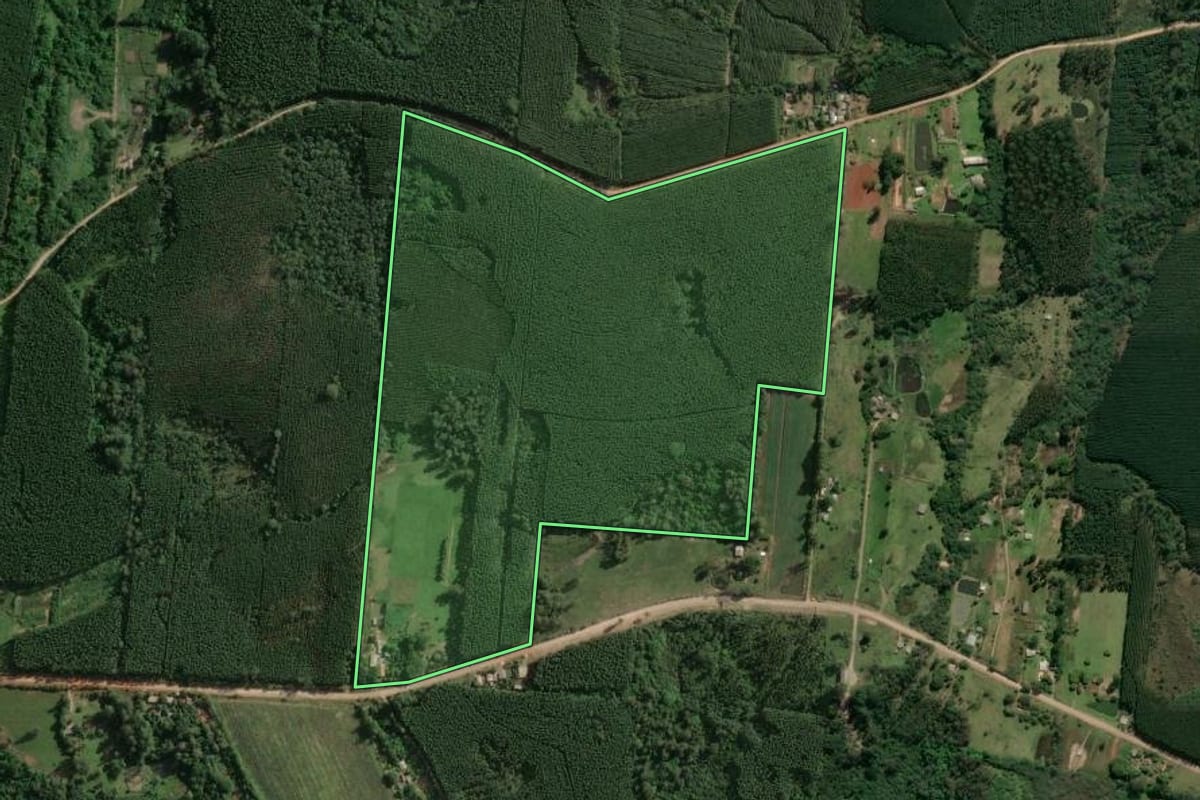 Imagem de satélite do imóvel rural em Taquari (RS), com o contorno declarado no CAR desenhado por cima.