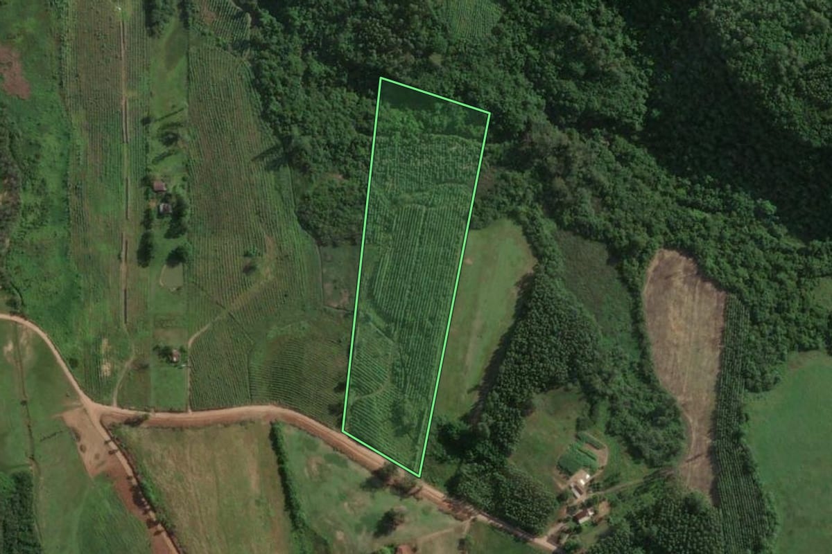 Imagem de satélite do imóvel rural em Taquari (RS), com o contorno declarado no CAR desenhado por cima.