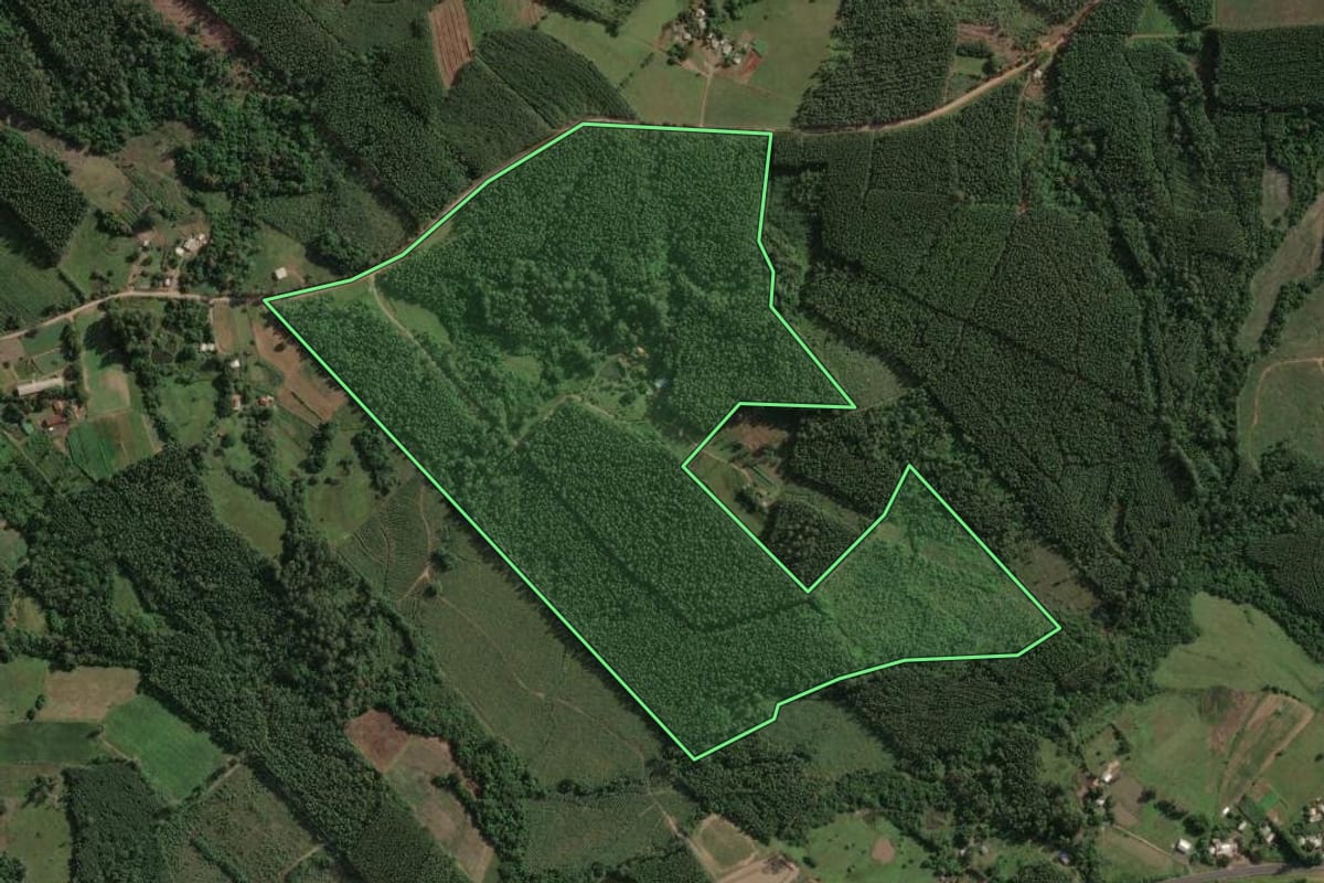 Imagem de satélite do imóvel rural em Taquari (RS), com o contorno declarado no CAR desenhado por cima.