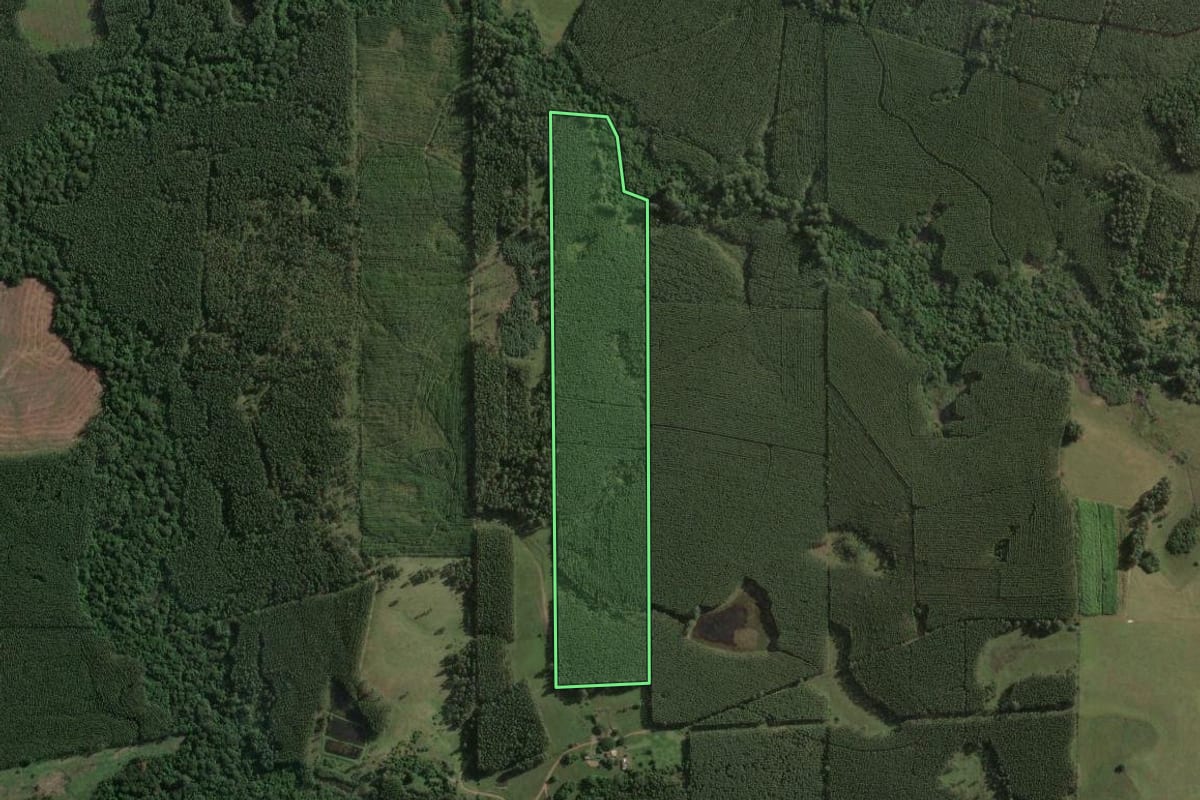 Imagem de satélite do imóvel rural em Taquari (RS), com o contorno declarado no CAR desenhado por cima.