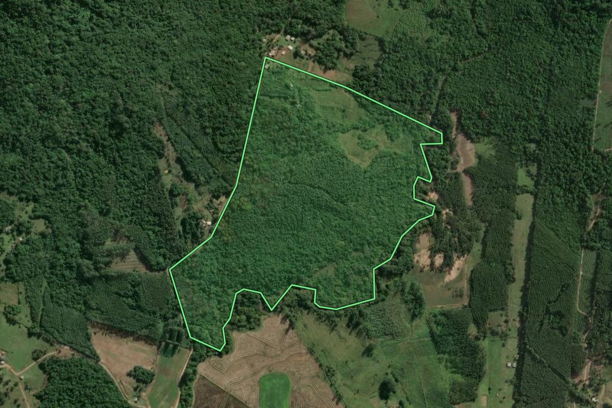 Imagem de satélite do imóvel rural em Taquari (RS), com o contorno declarado no CAR desenhado por cima.