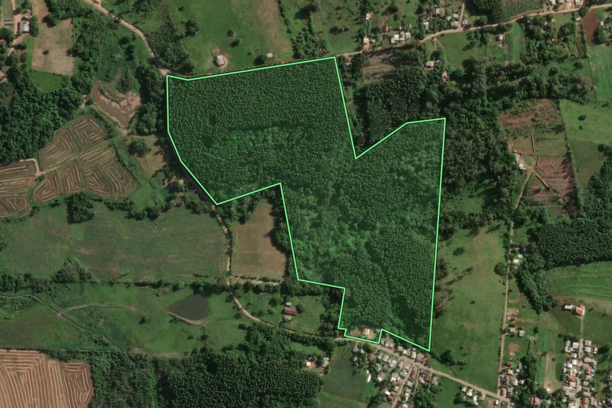 Imagem de satélite do imóvel rural em Taquari (RS), com o contorno declarado no CAR desenhado por cima.