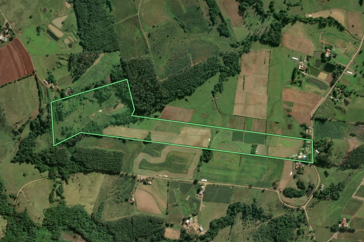 Imagem de satélite do imóvel rural em Taquari (RS), com o contorno declarado no CAR desenhado por cima.