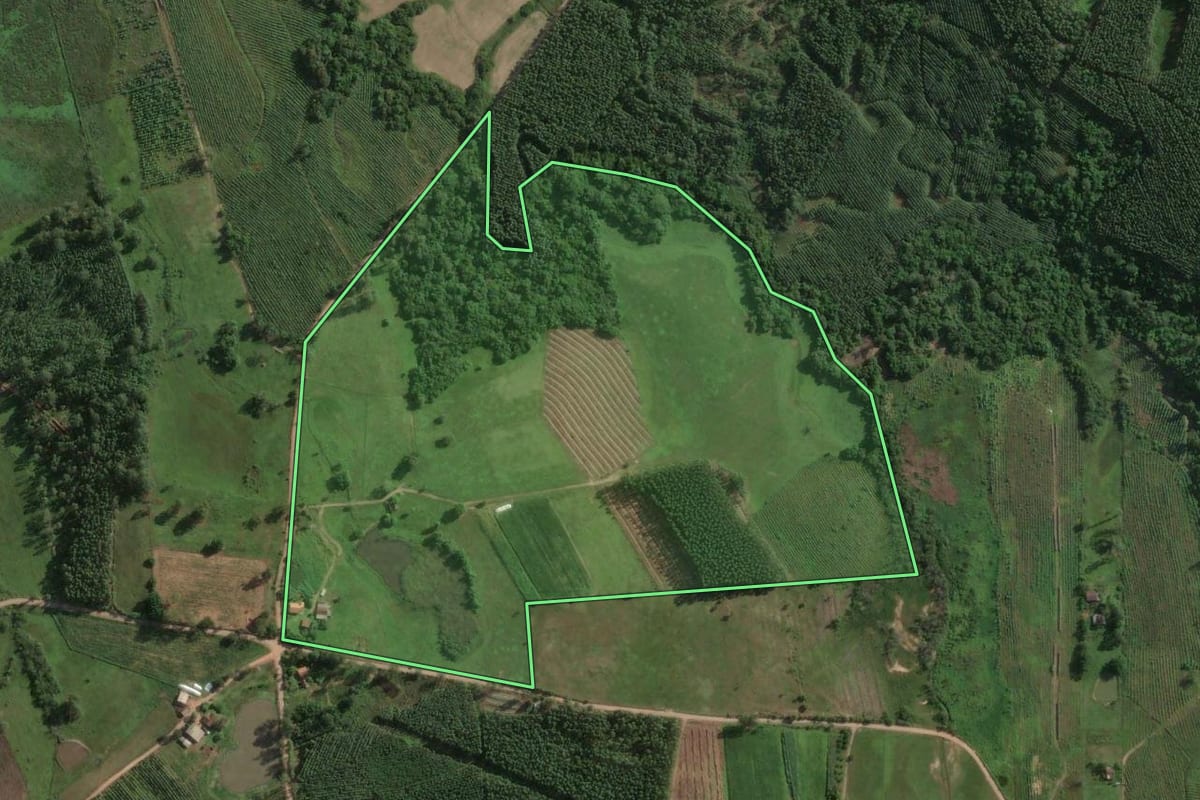 Imagem de satélite do imóvel rural em Taquari (RS), com o contorno declarado no CAR desenhado por cima.