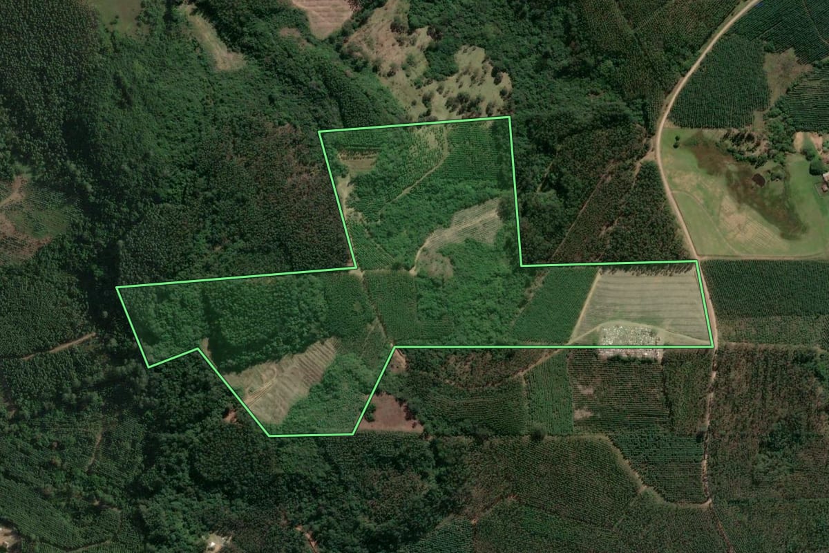 Imagem de satélite do imóvel rural em Taquari (RS), com o contorno declarado no CAR desenhado por cima.