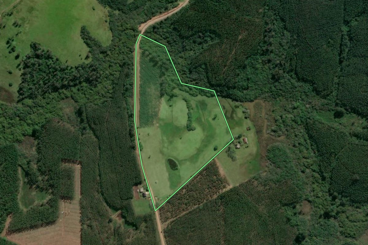 Imagem de satélite do imóvel rural em Taquari (RS), com o contorno declarado no CAR desenhado por cima.