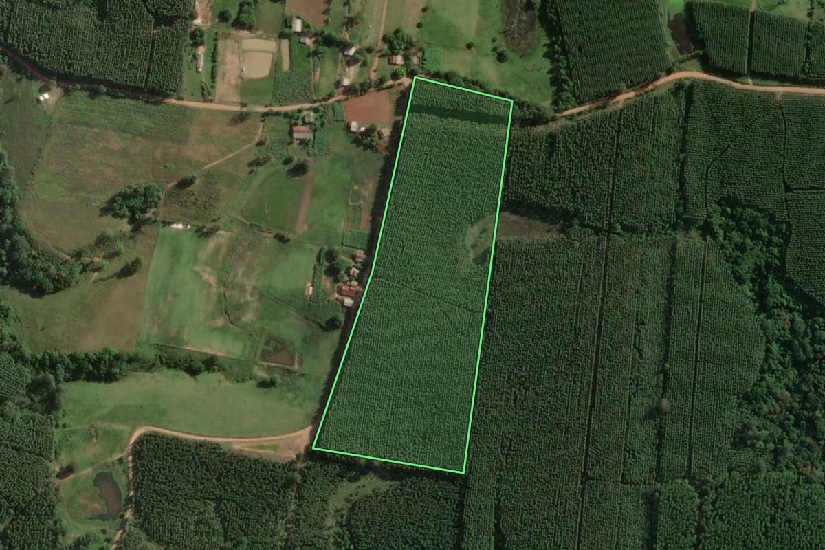 Imagem de satélite do imóvel rural em Taquari (RS), com o contorno declarado no CAR desenhado por cima.