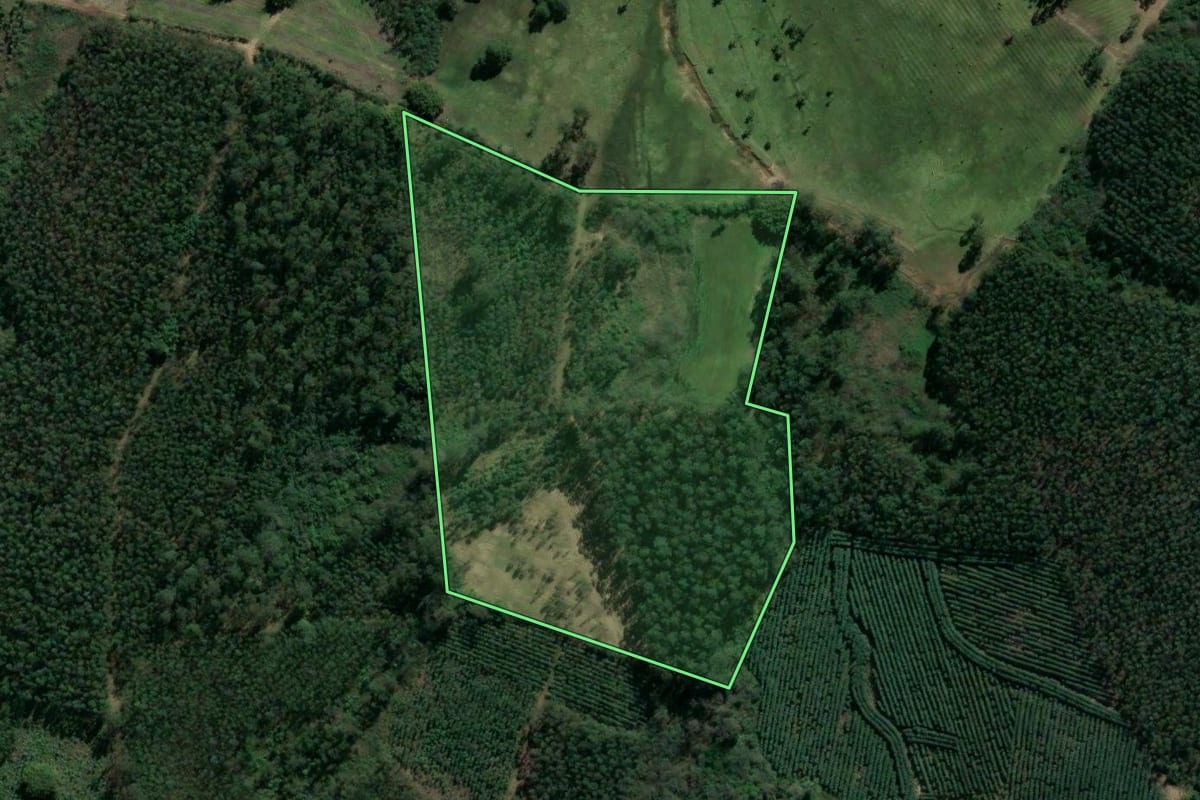 Imagem de satélite do imóvel rural em Taquari (RS), com o contorno declarado no CAR desenhado por cima.